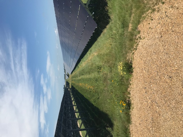 Community Solar Gardens' Solar Panels 