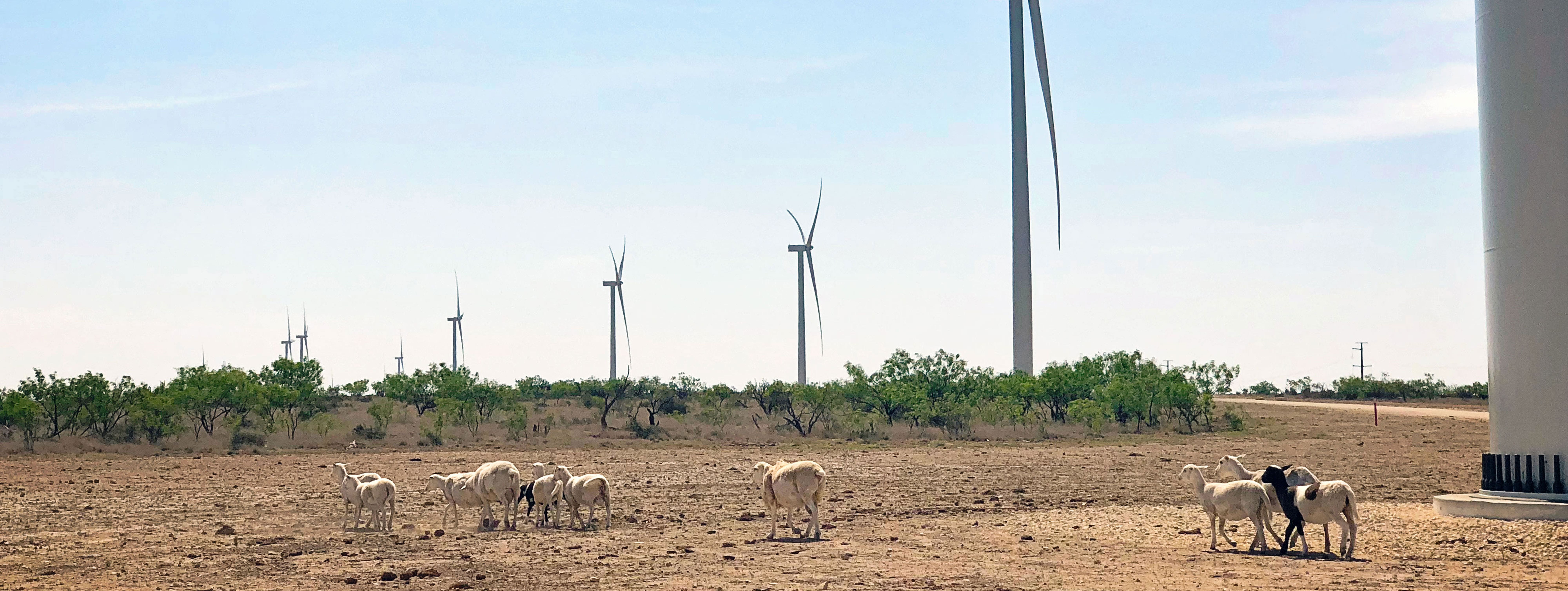 Santa Rita Wind Project