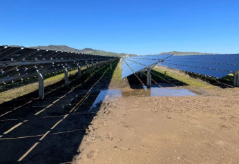 Vernal Pools Under Solar Panels