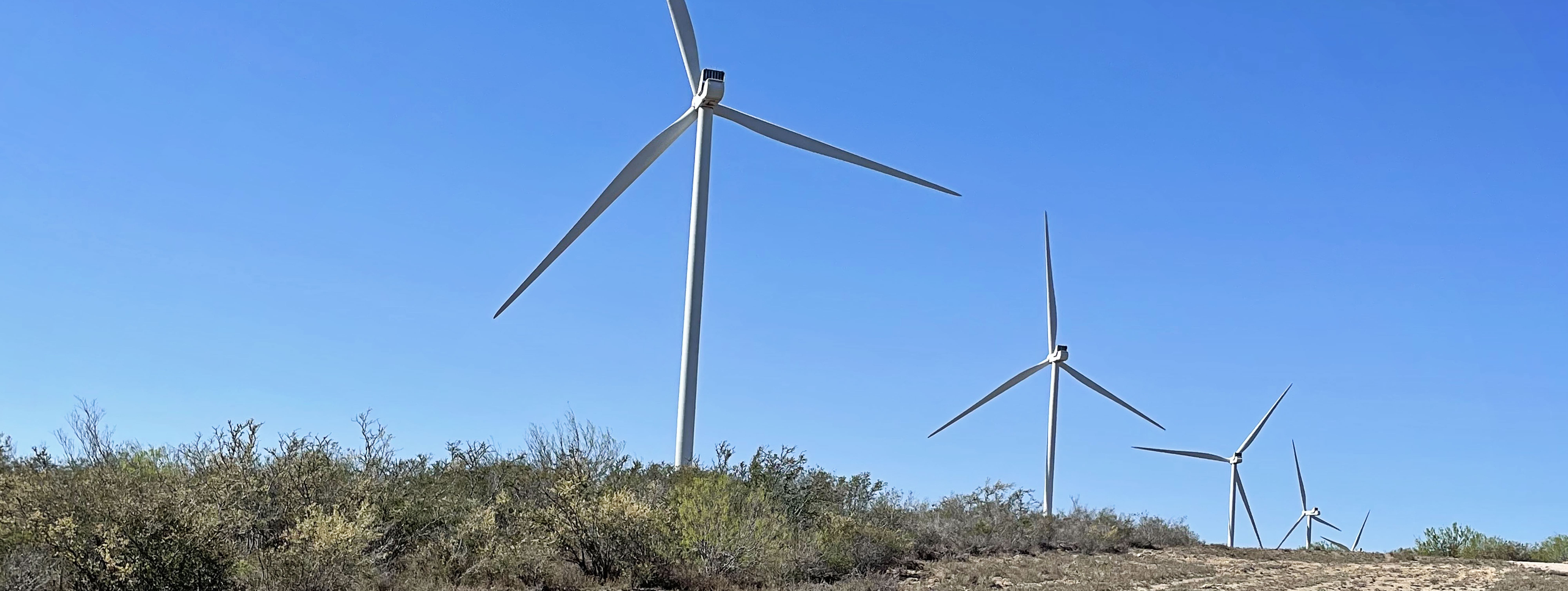 Rio Bravo Wind Project